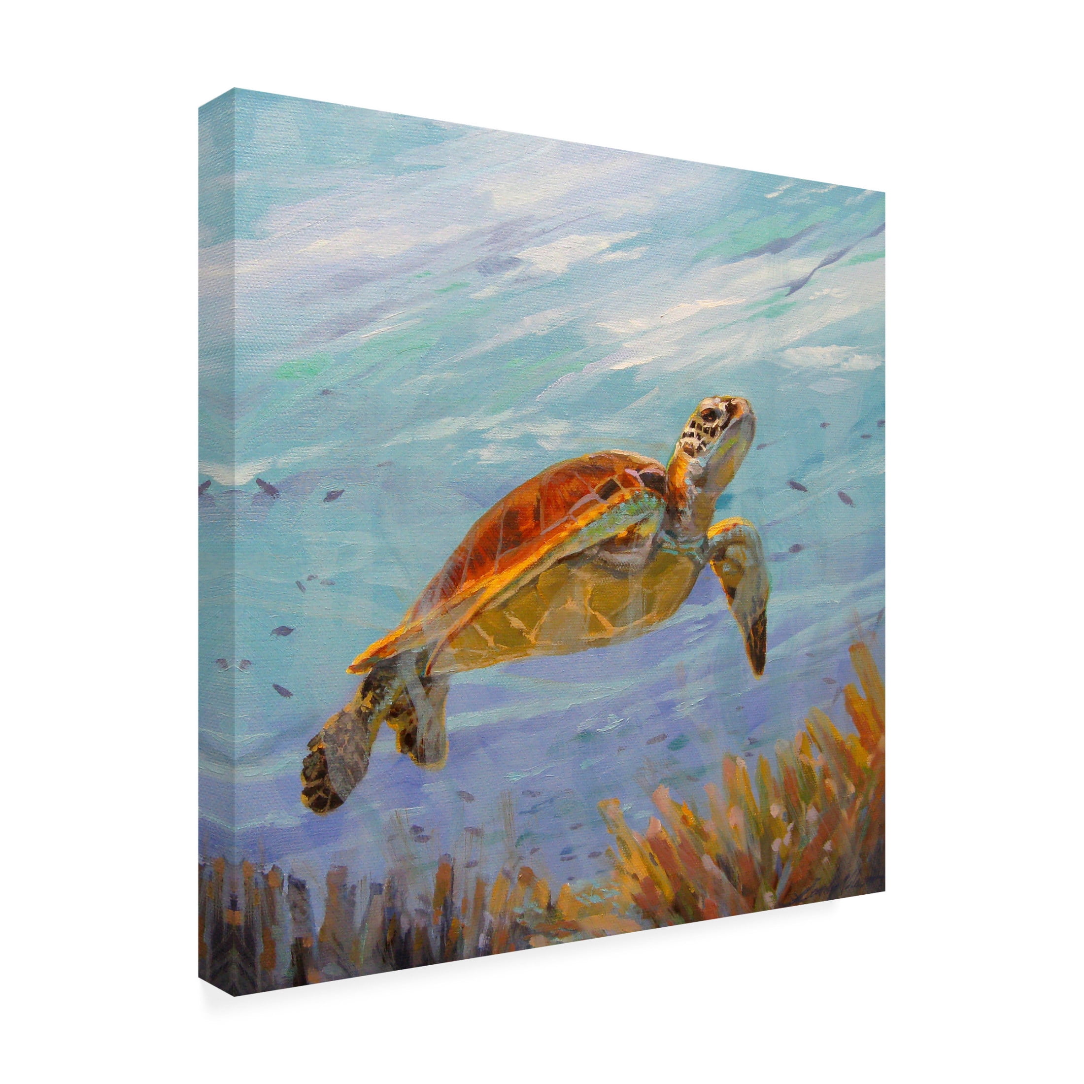 Canvas Wall Art - Sandy Nelson 'Seeking The Sun' Wall Art for Living Room, Bedroom, or Office Décor by Trademark Fine Art - 14 x 14 Inches