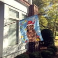 thumbnail image 2 of Carolines Treasures CK2487CHF Christmas Lights Newfoundland Flag Canvas House Size  Large multicolor, 2 of 4