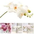 thumbnail image 2 of Light Pink Fake Orchids Flowers Bendable Faux Orchids Artificial Flowers Washable Silk Orchid Phalaenopsis Decor Faux Phalaenopsis Branches for Home Wedding Table Centerpiece Bathroom 1PC 16.5", 2 of 9
