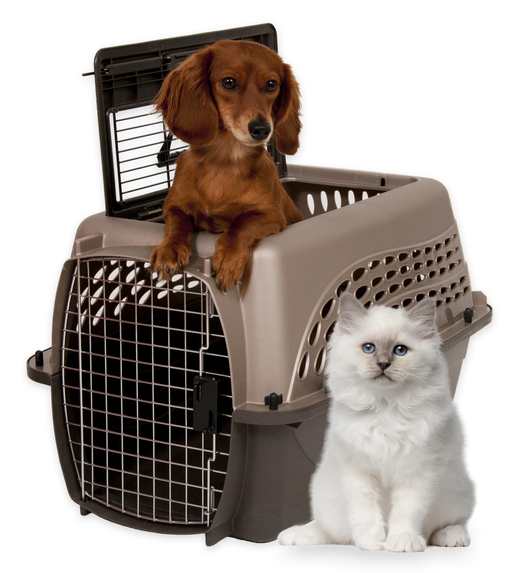 Petmate Two Door Top Load Pet Carrier, Medium, Pearl Tan, Up to 15 lbs photo 7