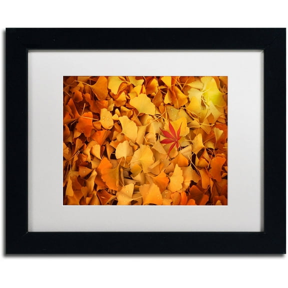 Trademark Fine Art "Variegated" Canvas Art by Philippe Sainte-Laudy White Matte, Black Frame