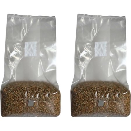 5lb Organic Sterile Mushroom Grain Spawn | Injector Port Grow Bags, Hydrated, Ready to Inoculate (Pack of 2) | Made in USA