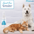 thumbnail image 3 of Replenish Skin Relief Spray for Dogs & Cats, Anti-Itch Hot Spot Spray with Aloe & Vitamin, 8 Oz, 3 of 7