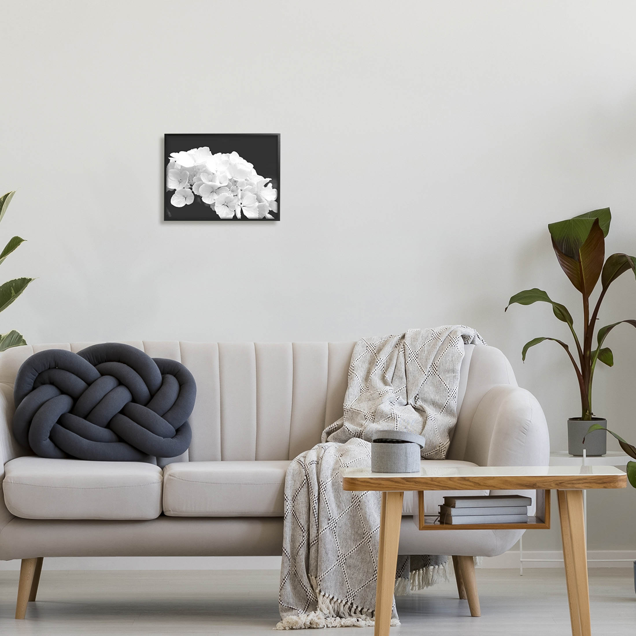 Delicate White Hydrangea Petals Botanical & Floral Photograph Black Framed Art Print Wall Art