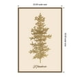 thumbnail image 2 of Amanti Art Oh Tanenbaum (beige) Framed Canvas Wall Art Print, 2 of 7