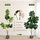 thumbnail image 2 of Yeshouse Árbol de hoja de violín artificial, Ficus Lyrata de imitación de 152 cm con 77 hojas realistas, planta de interior realista para el hogar, la sala de estar o la oficina, 2 of 7