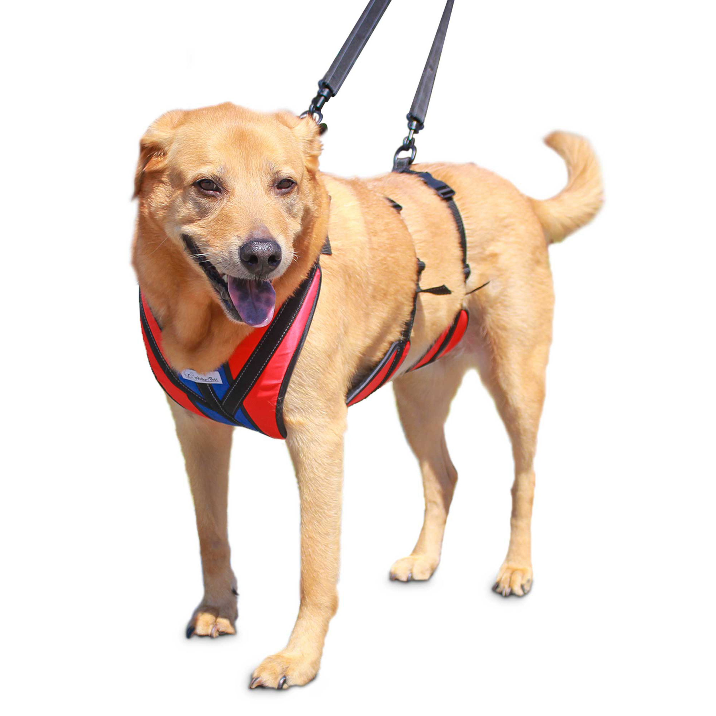 Walkin' Pets LiftnStep Dog Harness for Full Body Support Red Medium