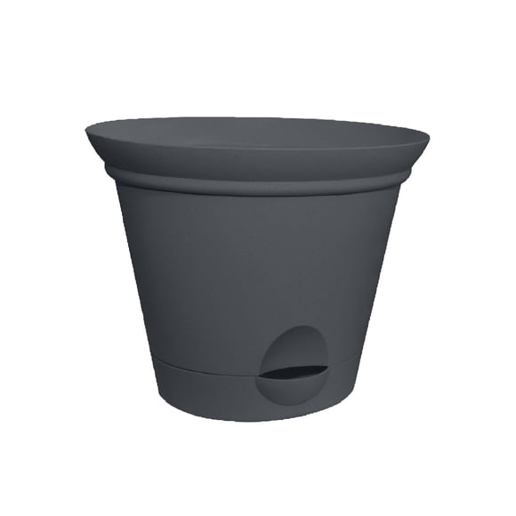 6.8IN auto-arrosage PLANT SPA-GRISE