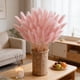 thumbnail image 1 of Ramo de 60 tallos de flores de pampa artificiales con jarrón, plumas de seda en rosa y blanco, 32 cm, tallos florales decorativos para bodas, hogar, decoración boho y fiestas., 1 of 6