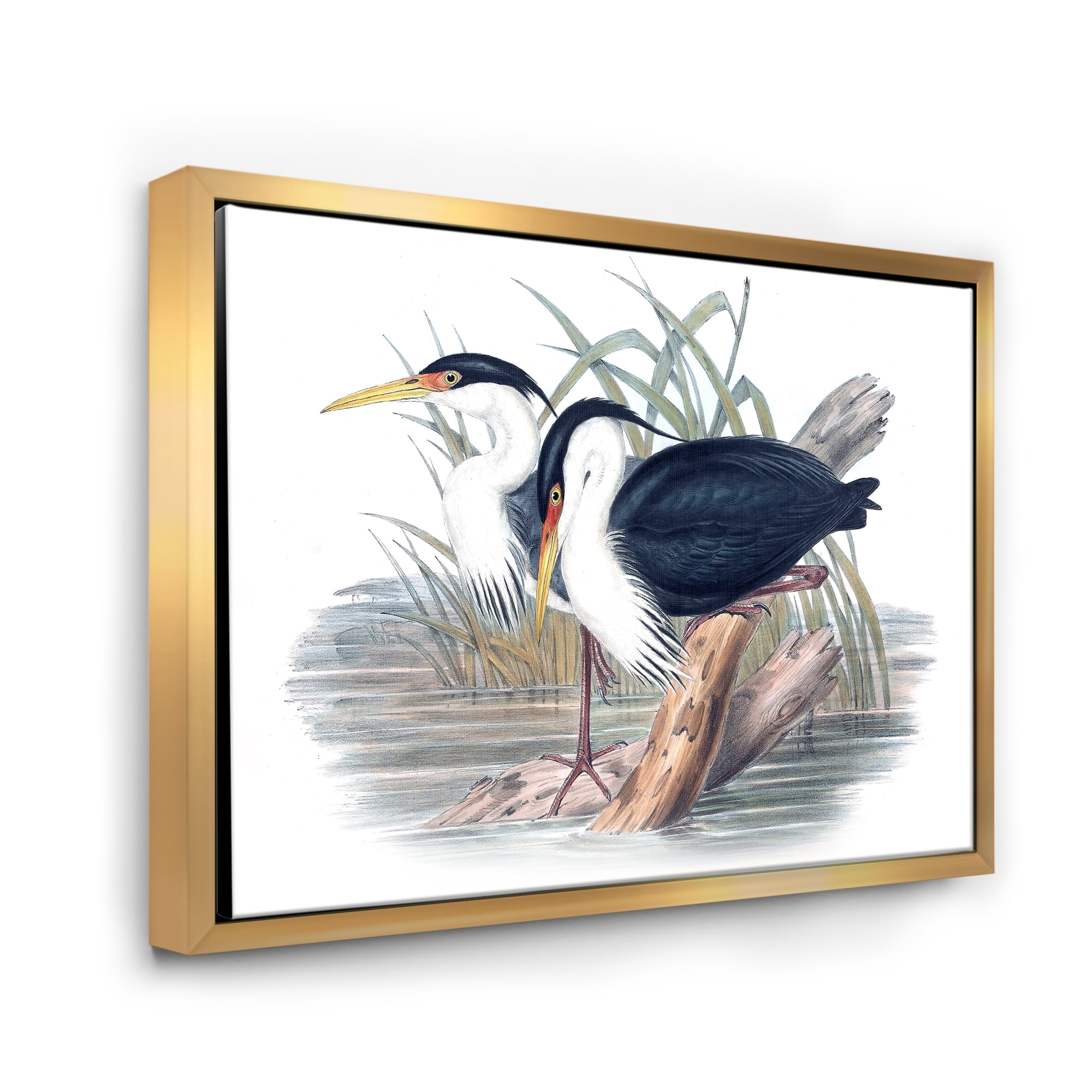 Designart 'Ancient Bird Life II' Traditional Framed Canvas Wall Art Print