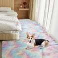 thumbnail image 2 of Ultra Soft Rug for Living Room, 5X8 Fluffy Shag Area Rug for Bedroom, Modern Shaggy Carpets Fuzzy Rug for Teens Dorm Nursery Home Decor Aesthetic, Upgrade Anti-Skid Durable, Rainbow, 2 of 18