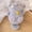 B, variant on Chinese Zodiac Doll Soft Stuffed Animal Toy Cute Fortune Charm For Kids Adults Indoor Outdoor