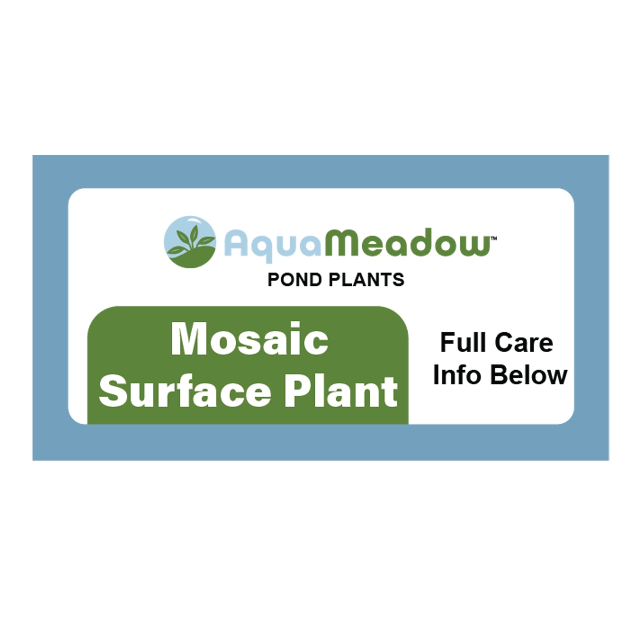 AquaMeadow Mosaic Surface Plant Reg 3pk