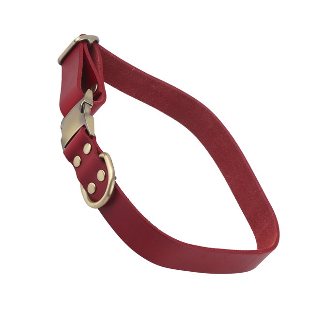 Collar De Cuero Acolchado Para Perro, Suave Al Tacto, Clásico, Acolchado, De Cuero, Para Mascotas, Conveniente, A La Moda, Para Gatos Y Perros ANGGREK Otros