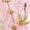 001 Pink, variant on Newborn Baby Girl Summer Clothes Ruffle Bow Dress Romper Jumpsuit One Piece Outfit Cute Infant Girl Clothing Kaprioy Toddler Girl Clothes 3 6 9 12 18 Months