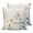 Beige, variant on Texas Star Brown Pillow Covers 20x20 Set of 2, Country Star Rustic Vintage Wooden Throw Pillow Covers Decorative Couch Cushion Cover, Microfiber Soft Square Pillowcases for Bedroom Living Room Sofa