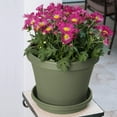 thumbnail image 4 of Bloem Terra Pot Planter 8" Living Green, 4 of 5