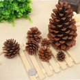 thumbnail image 2 of 12 conos de pino natural a granel, adornos de cono de pino de Navidad para manualidades, árboles de Navidad, decoración del hogar de Acción de Gracias de otoño 12 conos de pino natural a granel Zhivalor HMFJ244-6, 2 of 2