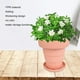thumbnail image 5 of Macetas suculentas Zulema s de jardín al aire libre Tpr ajuste de de agua para decoración de balcón Rosa, 5 of 7