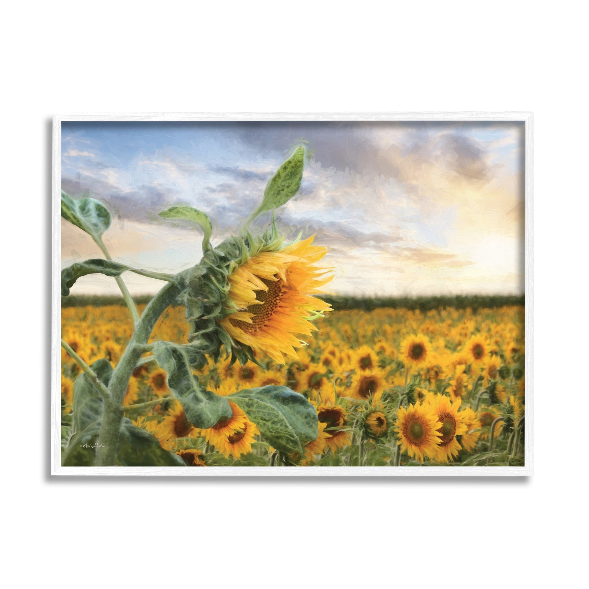 Stupell Industries Bright Yellow Sunflowers Blooming Field Sunshine Sky Photography White Framed Art Print Wall Art, 14x11, by Lori Deiter