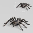 thumbnail image 2 of 20 Piezas 9,5 cm Gran Falso Juguete Modelo de Insecto Araña Realista Divertido Accesorio Aterrador de Halloween, 2 of 5