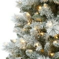 thumbnail image 4 of Holiday Time 7.5' Pre-lit Flocked Glacier Spruce Christmas Tree, Green, 4 of 6
