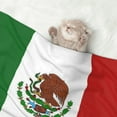 thumbnail image 7 of Dog Blanket Mexican-Flag Soft Dog Blankets for Small Medium Dogs Pet Cat Puppy Blanket Mat Cover, 7 of 7