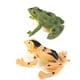 thumbnail image 4 of Paquete de 3-6 figuras de ranas pequeñas de plástico, decoración de simulación, juguete para niños, colorido, 12 Uds. 3 piezas Sunnimix Figuras de rana de juguete, 4 of 8