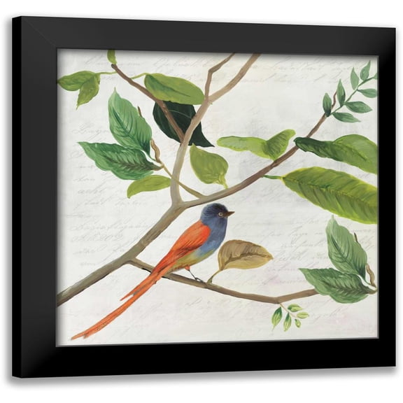 Jensen, Asia 12x12 Black Modern Framed Museum Art Print Titled - Singing Bird II