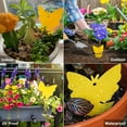 thumbnail image 4 of 10PCS Sticky Traps Fruit Fly Fungus Gnat Trap Insect Indoor Outdoor Houseplant Sticky Bug Insect Catcher Glue Trappers, 4 of 6