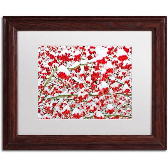 Trademark Fine Art "Winter Berries in the Snow" Canvas Art by Kurt Shaffer White Matte, Wood Frame