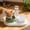 Green, variant on 2 in 1 Cat Dog Food and Water Bowl Set, Dual Feeding Station with Tilted Design Neck Support, Non Slip Base Anti Spill Easy Clean Feeding Bowl for Cats and Small Medium Dogs