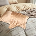 thumbnail image 4 of Soft Pillowcase Double-sided Solid Color Pillow Cover Pillow Case Beauty Silk Cover Pillow Core Cover Ice Silk Bedding 20''x30'', Usupdd 2025 Soft Pillowcase Double-sided Solid Color, 4 of 7