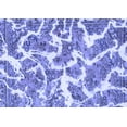 thumbnail image 1 of Ahgly Company Indoor Rectangle Abstract Blue Modern Area Rugs, 2' x 3', 1 of 4