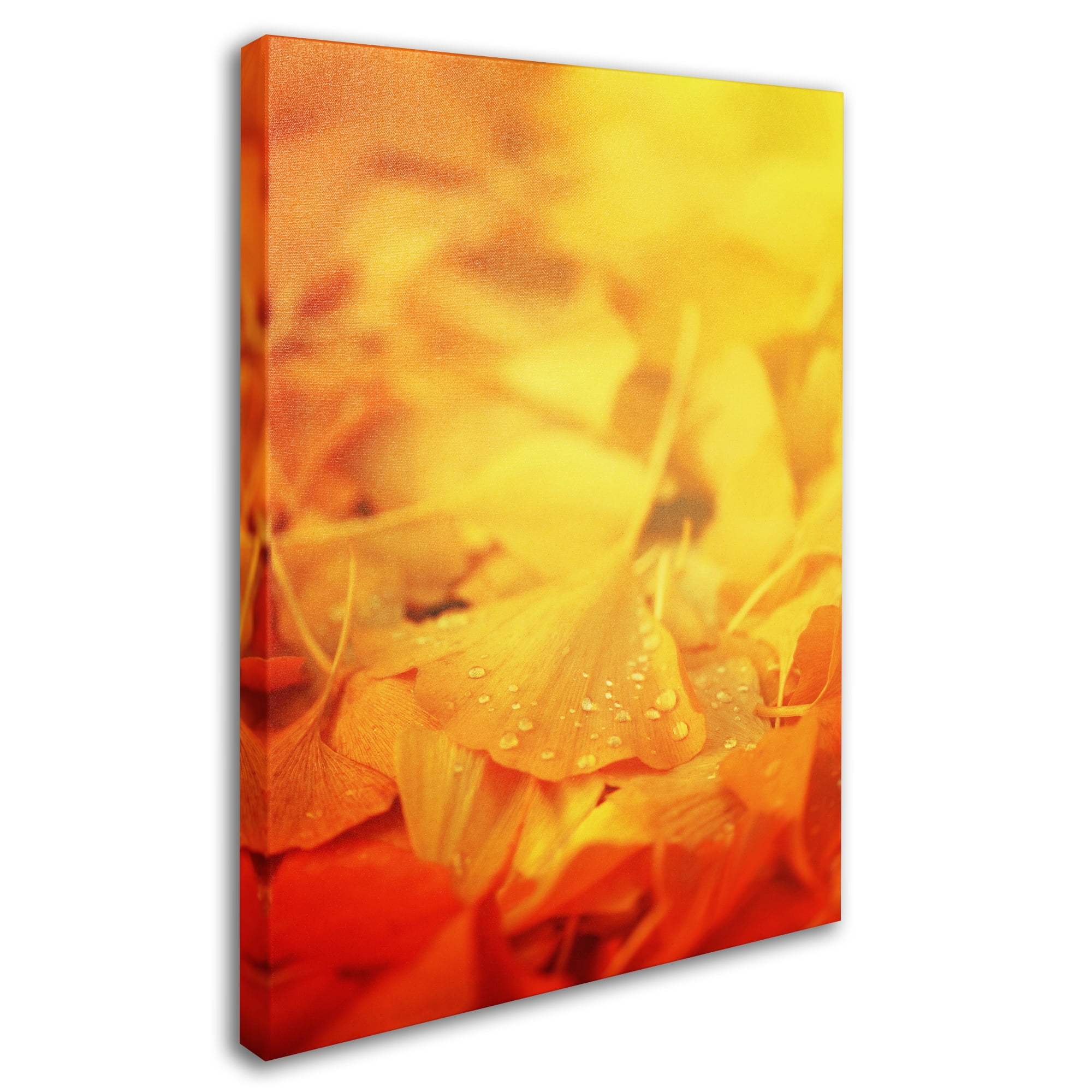 Trademark Fine Art "Thinking Bubble" Canvas Art by Philippe Sainte-Laudy