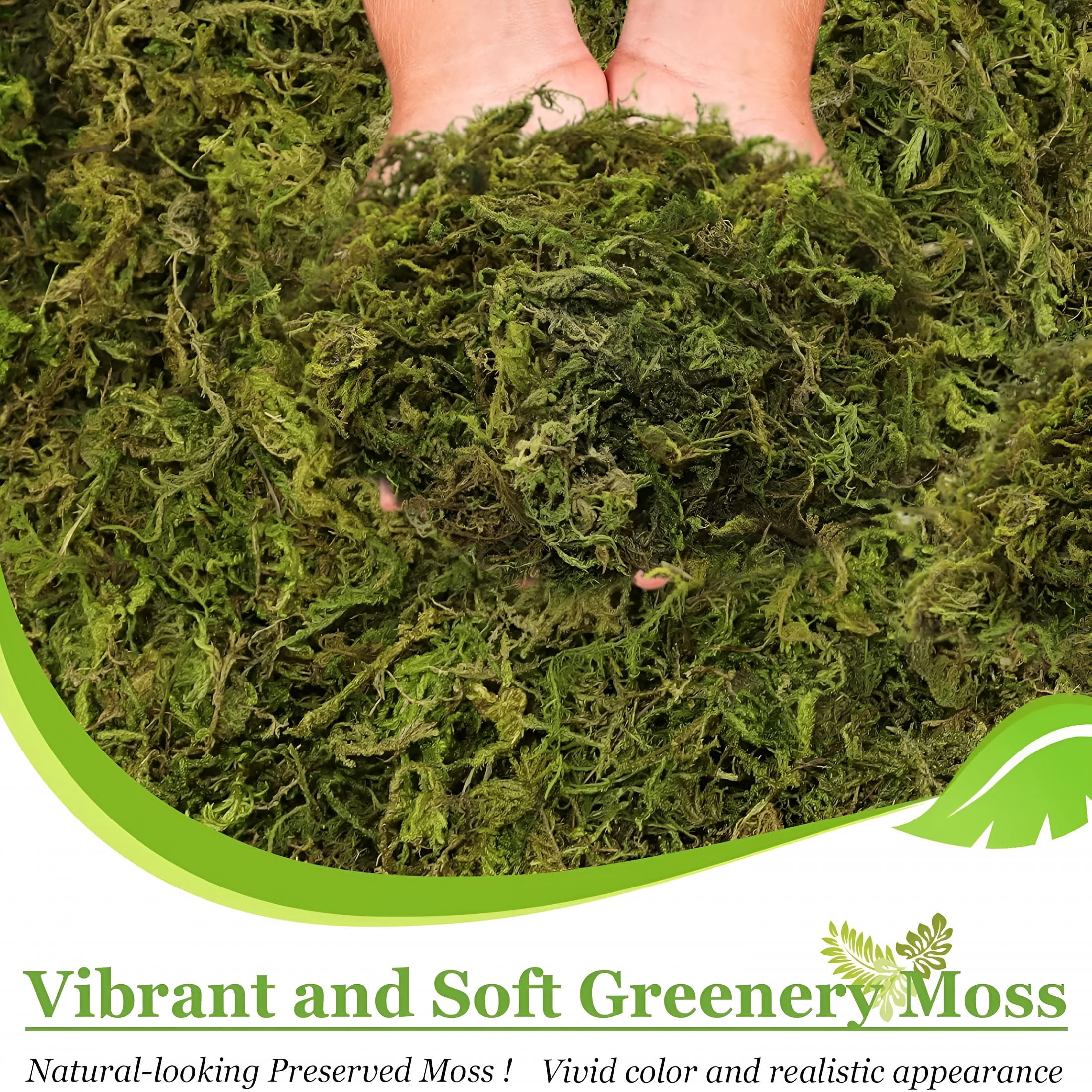 TUWAFE 1.3Lbs Artificial Fake Moss for Fake Plants Indoor- Premium Faux Craft Moss for Potted Plant,Fresh Green Moss Forest Moss for Hamsters Micro-Landscape Terrariums Centerpieces Decor
