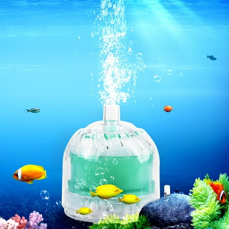 Greensen Filtre de charbon actif de l'éponge biochimique pneumatique de  réservoir de poissons d'aquarium, filtre d'aquarium, filtre de charbon  actif d'aquarium
