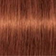 thumbnail image 2 of Schwarzkopf Igora Royal Metallics (7 - 16 / Medium Blonde Cendre Chocalate), 2 of 2