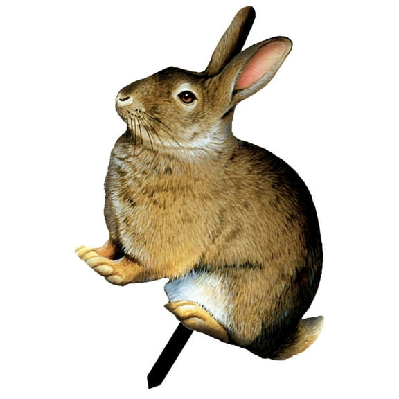 WASHWEPE Garden Decoration Multi Acrylic 1Pcs 7.7X9.8in