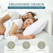 Casa Platino Pillows Standard Size Set of 2 – Standard Pillow, Cooling Comfort, Breathable, Easy Care Machine Washable, Perfect for Everyday Use