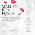 thumbnail image 4 of GLAMOUR BOUTIQUE 7-Piece Forever Pink Rose Box - Preserved Roses in a Box, Immortal Roses That Last A Year - Eternal Rose Preserved Flowers for Delivery Mothers Day & Valentines Day Wife Gift for Her, 4 of 9