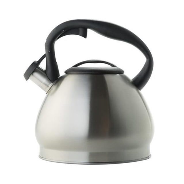 Ecolution PTKST-6630 3 qt. Bouilloire en Acier à Primula Noire