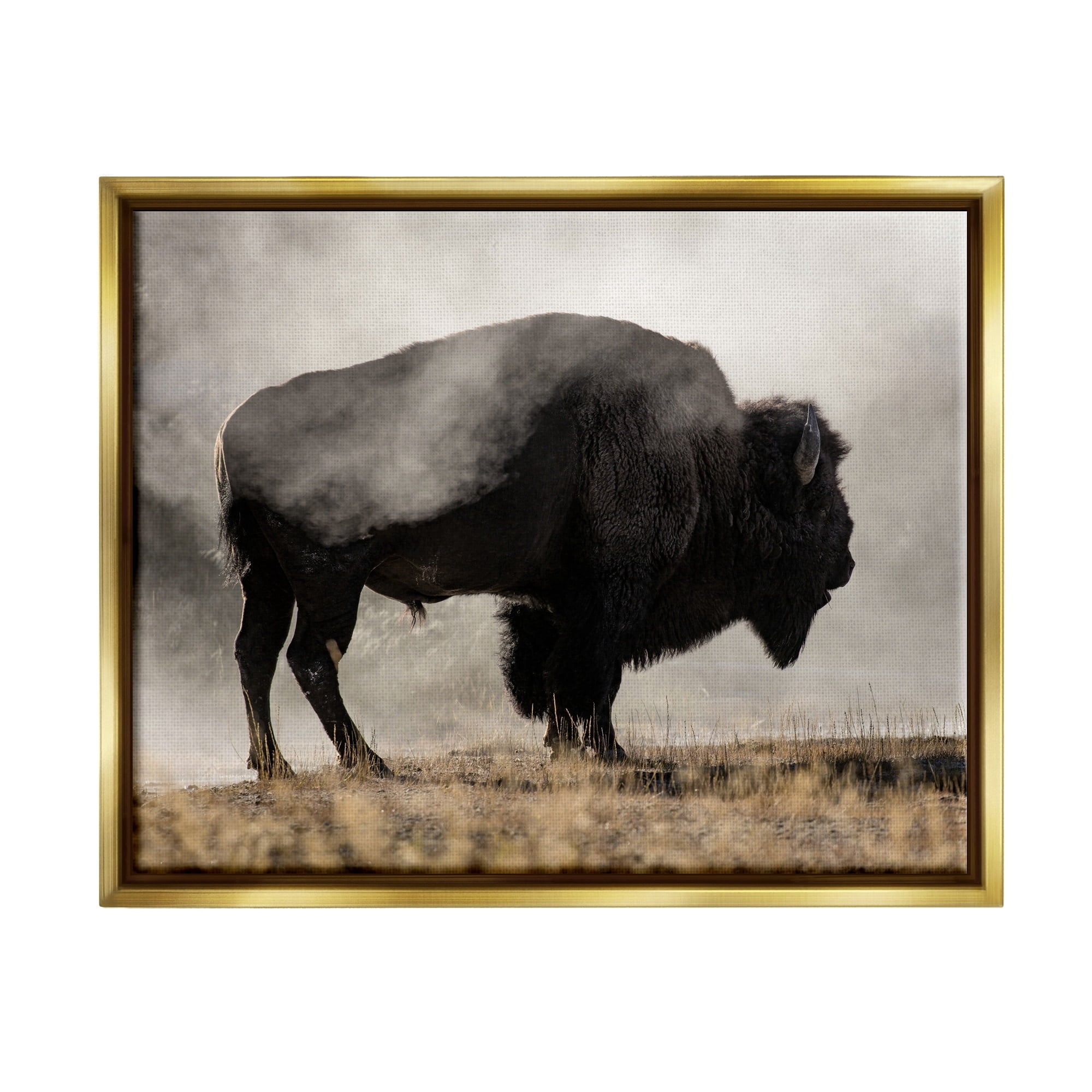 Stupell Industries Powerful Bison Grazing Foggy Rural Pasture Photography Photograph Metallic Gold Floating Framed Canvas Print Wall Art, Design by Danita Delimont
