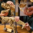 thumbnail image 4 of LEGO Jurassic World Les Fossiles de Dinosaures : le Tyrannosaurus rex, Ensemble de Construction de Modèle Réduit 76968, 4 of 6