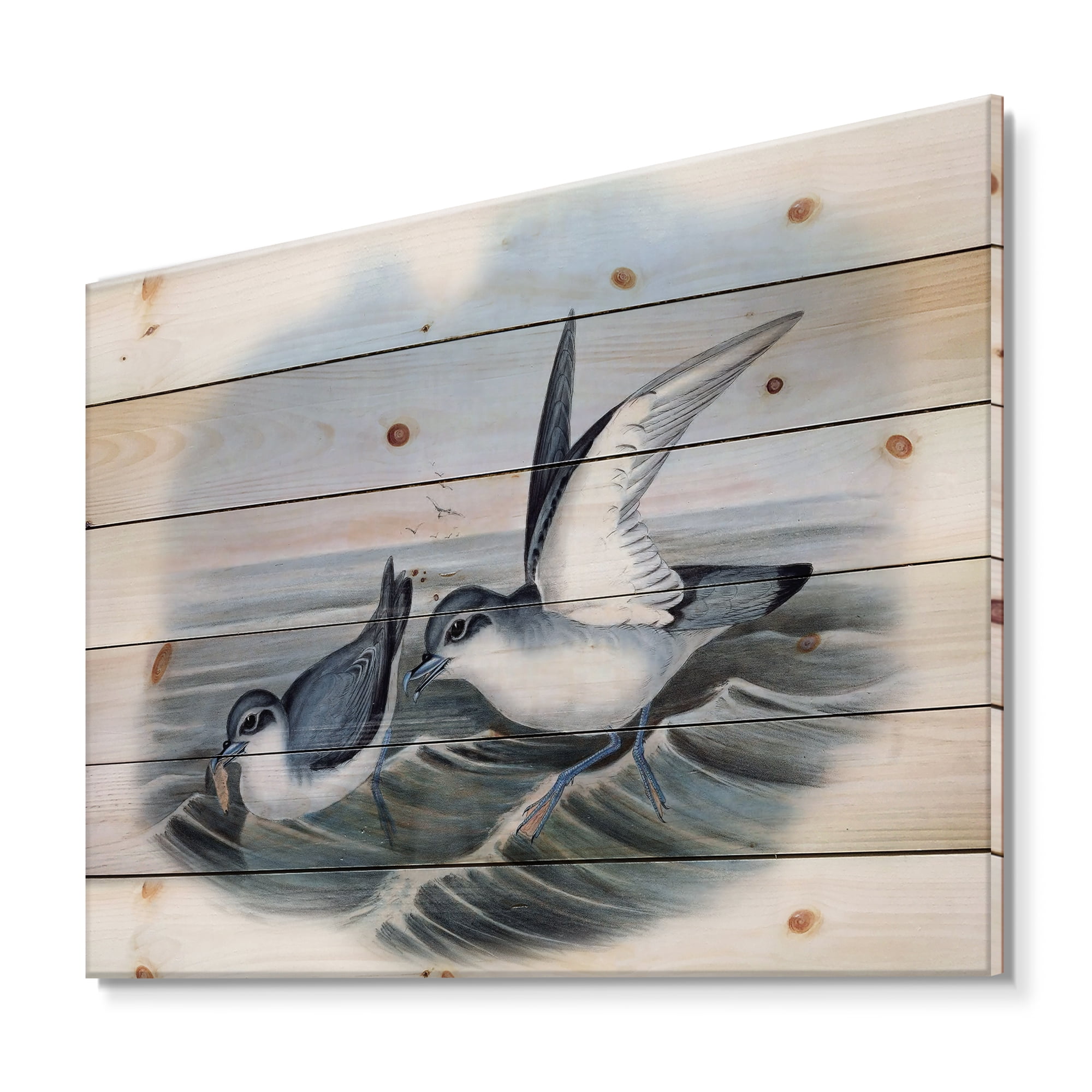 Designart 'Ancient Bird Life X' Traditional Print on Natural Pine Wood