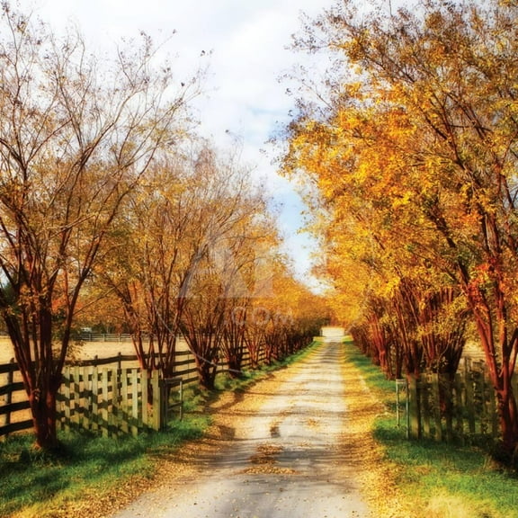 Glen Allen Farm Square IV, Botanical Scenic Seasons Unframed Photographic Print Wall Art by Alan Hausenflock Sold by ArtCom