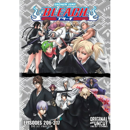 BLEACH BOX SET 14 (DVD/UNCUT/3 DISC/VIVA) (DVD)