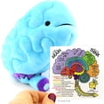 thumbnail image 4 of I Heart Guts 11” Brain Plush Toy Blue/Purple Science Stuffed Organ, 4 of 7