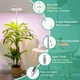 EastVita A Mené la Plante Télescopique Grow Light Lampe de Croissance de Plante à Spectre Complet pour les Plantes d'Intérieur Succulentes – image 3 sur 8