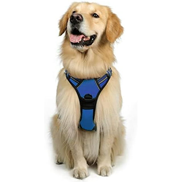 rabbitgoo Dog Harness No-Pull Pet Harness with 2 Leash Clips Adjustable Soft Padded Dog Vest Reflective No-Choke Pet Oxford Vest with Easy Control Handle for Large Dogs Orange L